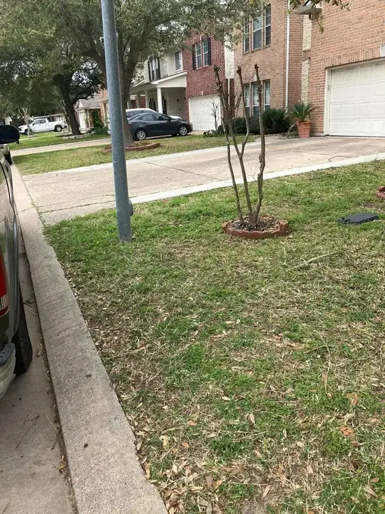 Después de la remoción de basura — espacio despejado y limpio por AJC Junk Removal en Concord, NC (#04)